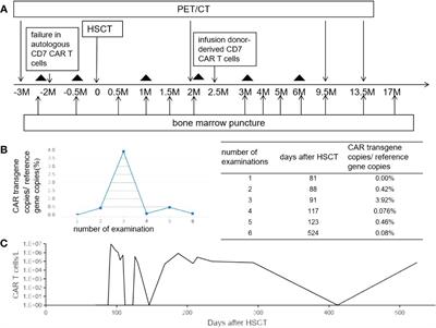 Case report: Preventive infusion of donor-derived CD7 chimeric antigen receptor T cells after allogeneic hematopoietic stem cell transplantation